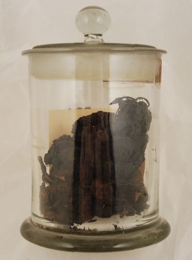 Materia Medica jar containing tamarind
