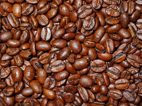 Coffee beans Image taken from http://commons.wikimedia.org/wiki/Coffea_arabica 