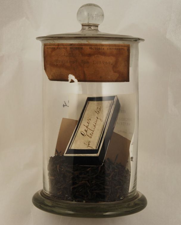 Materia Medica jar containing tea leaves (plus a box with more leaves)