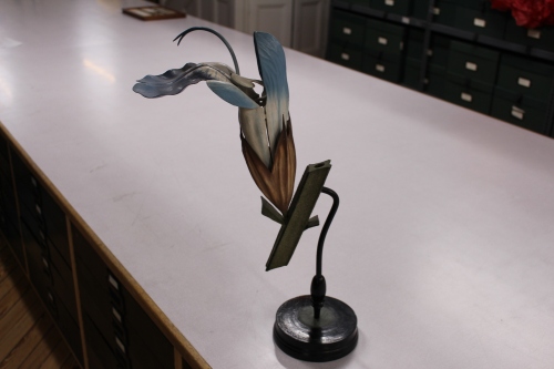 19th century botanical teaching model of a sage flower produced by Brendel, Germany.